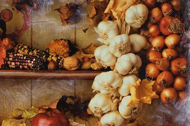 Nature Wallpapers Autumn, Sienna, Darkgray, Chocolate, Burlywood ...