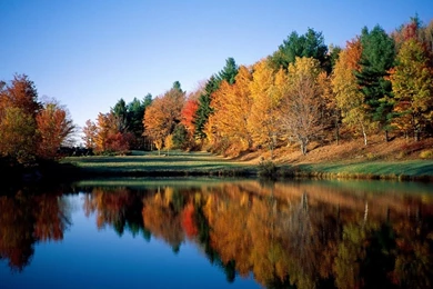 Autumn Spring Nature Wallpapers