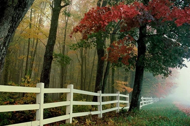 Autumn Wallpapers Desktop Nature Background Images