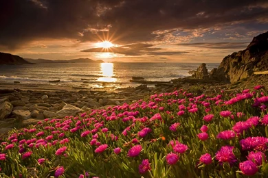 Top 10 Beautiful Sunset Wallpapers HD & Sunset Backgrounds