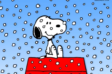 Funny Picture: Peanuts Wallpapers