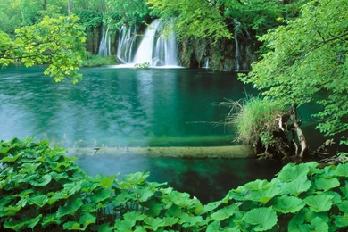 Nature Photos Wallpapers Desktop