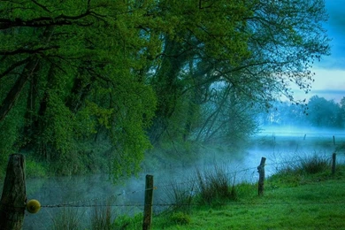 Top Nature Wallpapers Blue Summer