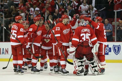 Red Wings Vs. Canucks   02/03/2014   Detroit Red Wings   Photos