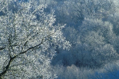 Backgrounds, Park, Nashville, Warner, Tennessee, Edwin, Ice ...