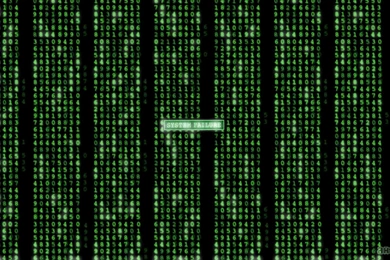 Weed 1080P, Matrix, Moving, 1920x1080 HD Wallpapers And FREE Stock ...