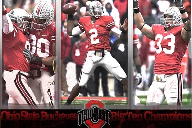 2008 Ohio State Big Ten Champions Wallpapers
