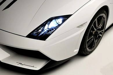 Top Poppy Pattern Wallpapers Wallpapers