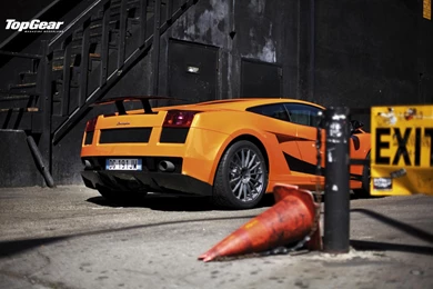 Louisville Cardinal Wallpapers 1612 HD Wallpapers