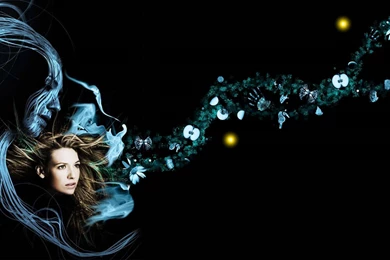 Tv Fringe Anna Torv Olivia Dunham Wallpapers   (