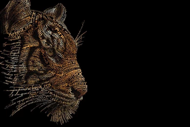 Typography Wallpapers