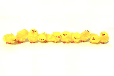 Easter Chicks Wallpapers