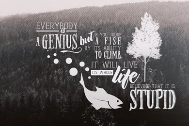 Everybody Is A Genius Typography Wallpapers By Xx kiss On DeviantArt