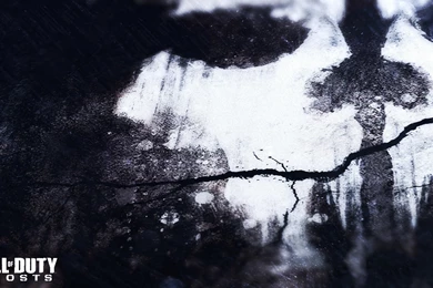 Call Of Duty Ghost Wallpapers Collection (41+)