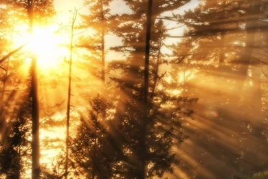 Resolution Iphone 6 Wallpapers Items   Share Resolution Iphone 6 ...