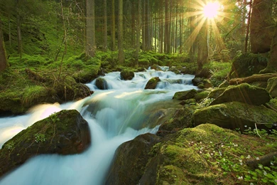 Free Nature Backgrounds For Mac HD Desktop Wallpapers