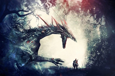 Artwork, Fantasy Art, Warrior, Dragon, Forest, Knights, Dragon Age ...