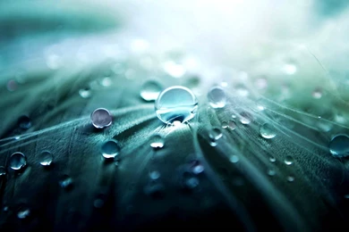 Great HD Wallpapers   Wallpapers Zone