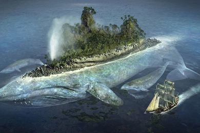 Great HD Wallpapers   Wallpapers Zone