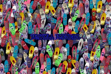 SkullandBonesSkateboards.com ~ View Topic   Powell Peralta Ripper ...