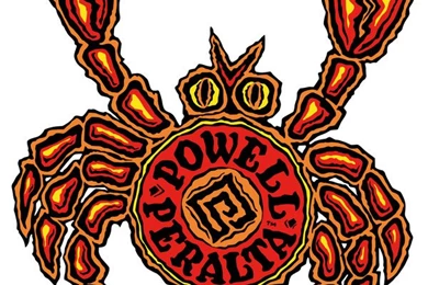 Powellperalta   DeviantArt