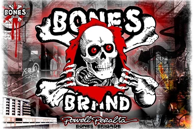 RePin Image: Powell Peralta On Pinterest