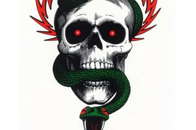 Powell Peralta McGill Bones Brigade. This Was My First "REAL ...