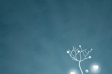 Tree Of Life From Deviantart Hd Wallpapers   (