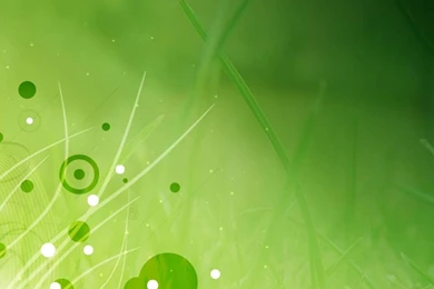 Green Abstract Grass Deviantart Wallpapers   (