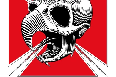 POWELL PERALTA SKATEBOARDS By Sergiotoribio On DeviantArt