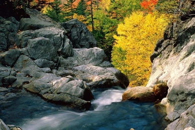 Nature Wallpapers Hd For PC HD Wallpapers