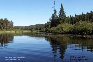 Roy's Best Outdoor Pictures Computer Wallpaper Backgrounds   The ...