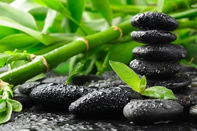 1 Hour Chakra And Reiki Meditation Feng Shui For Relaxation   YouTube