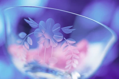 Wellness Wallpapers   4