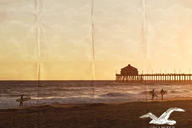 Hollister Logo   Cool Graphic