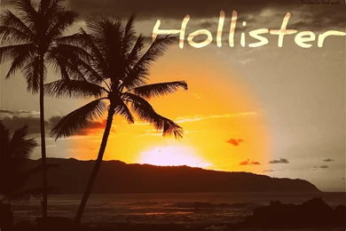 Hollister Beach Model Images