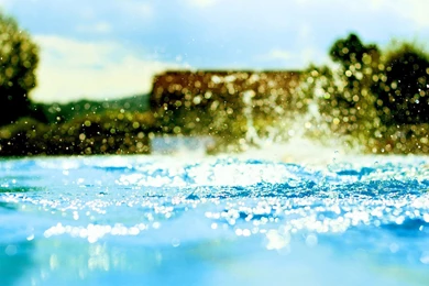 Orange Fruit Water Splash