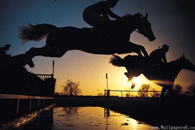 Horse Race Sports － Sports Wallpapers   Free Download Wallpapers ...