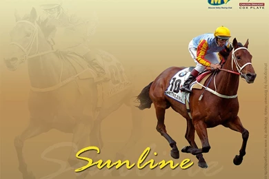 Racing And Sports   Leaders In Horse Racing News, Statistics And ...