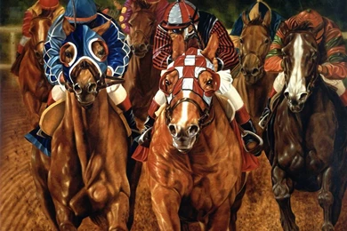 Horse Racing HD Wallpaper,sports Wallpaper,horse Wallpaper,racing ...