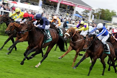 HORSE RACING Race Equestrian Sport Jockey Horses Wallpapers ...