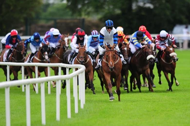 Racinghorse Racing Wallpapers Top Horse Racing Top Horse Racing ...