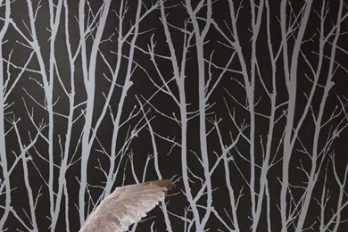 Birch Tree Wallpapers From Shand Kydd Imagination (Pattern SK175201 ...