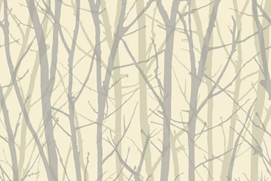 Shand Kydd Imagination   Google Search