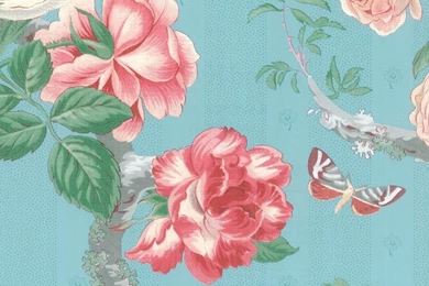 JW105671 ― Eades Discount Wallpapers & Discount Fabric