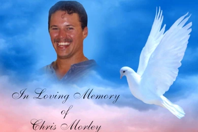 Personalized Custom In Loving Memory Dove And 50 Similar Items