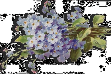 Look In The Nook Graphics And Images: In Loving Memory To My Mom