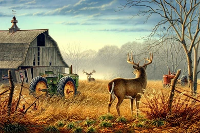 Competition Wallpaper,mist HD Wallpaper,tractor HD Wallpaper,deer ...