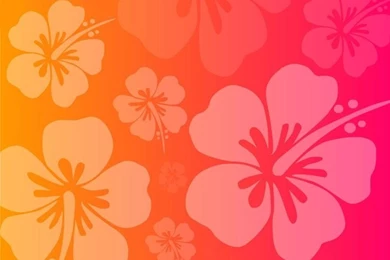 Hawaiian BACKGROUND
