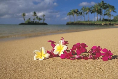 Hawaii Background Images   Wallpapers Cave